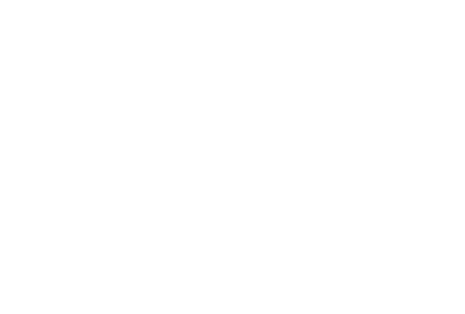 ARTIPAL S.A. de C.V.